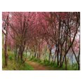 thumbnail image 2 of Sakura Pink Flowers in Thailand - Landscape Canvas Art Print, 2 of 3