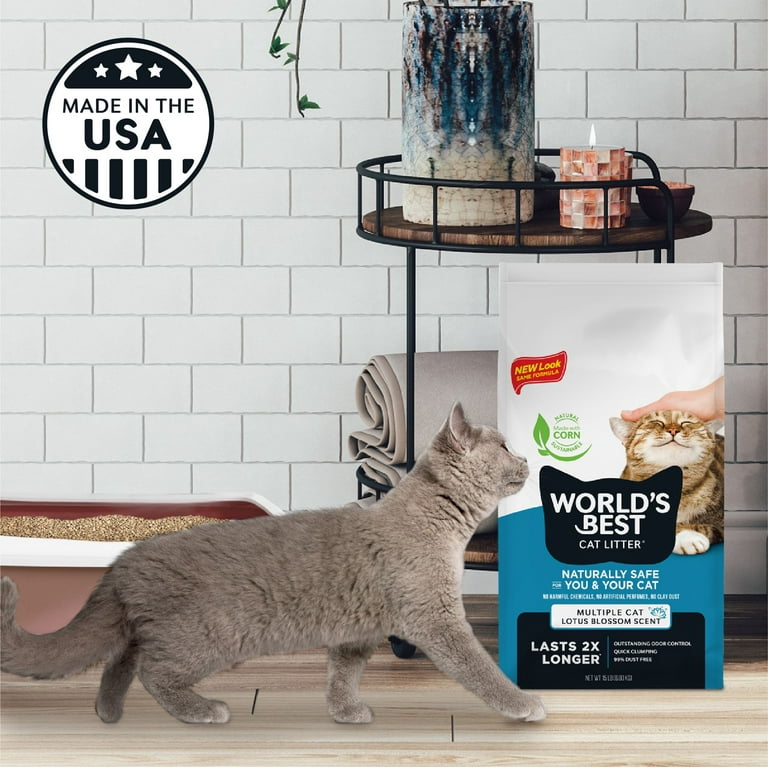 Flushable kitty litter walmart 2025