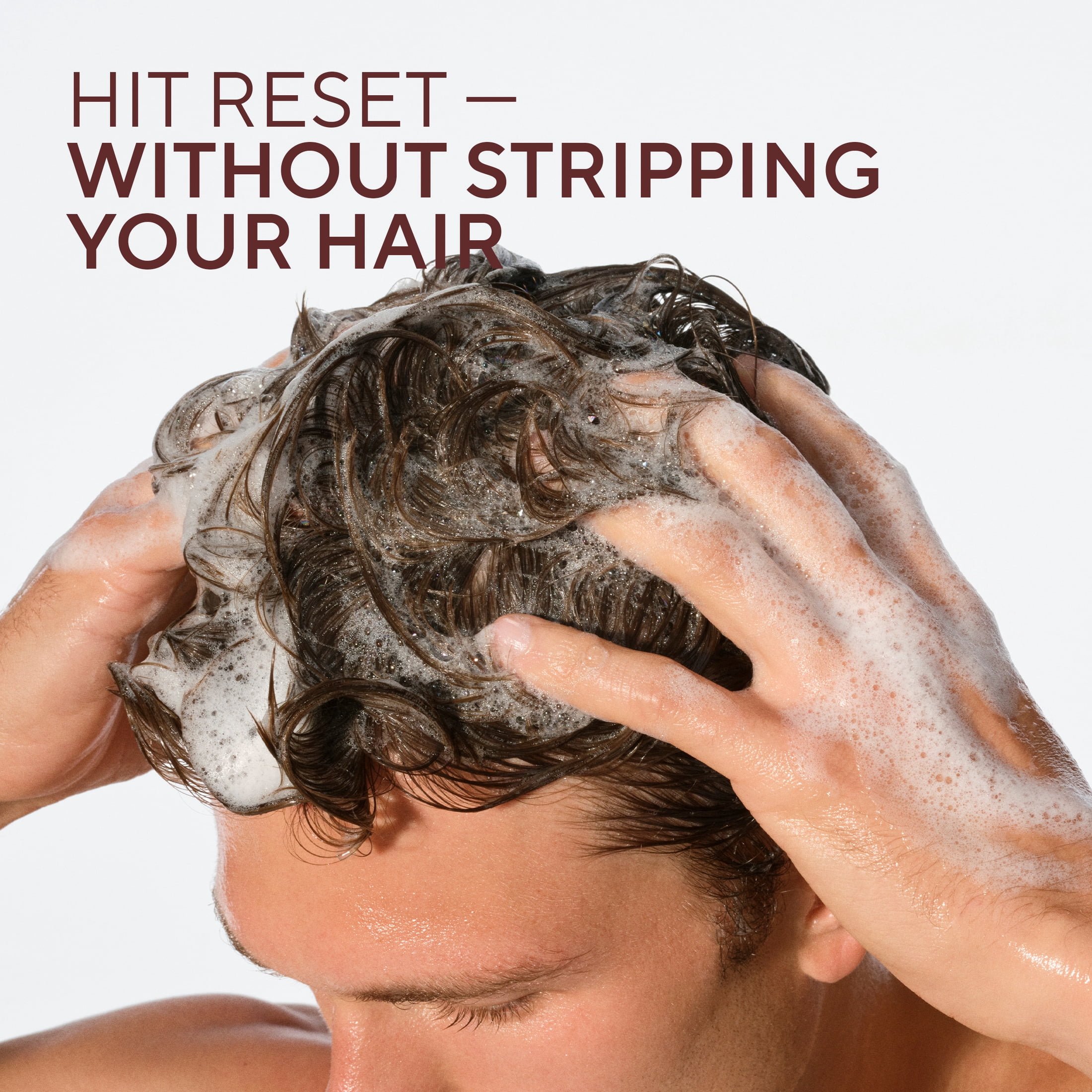 Native Daily Clean Shampoo, Hazelnut & Shortbread Crust, Silicone and Sulfate Free, 16.5 fl oz