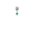 thumbnail image 1 of December - Teal - 6mm Crystal Bicone - Paw Print Charm Bead, 1 of 1