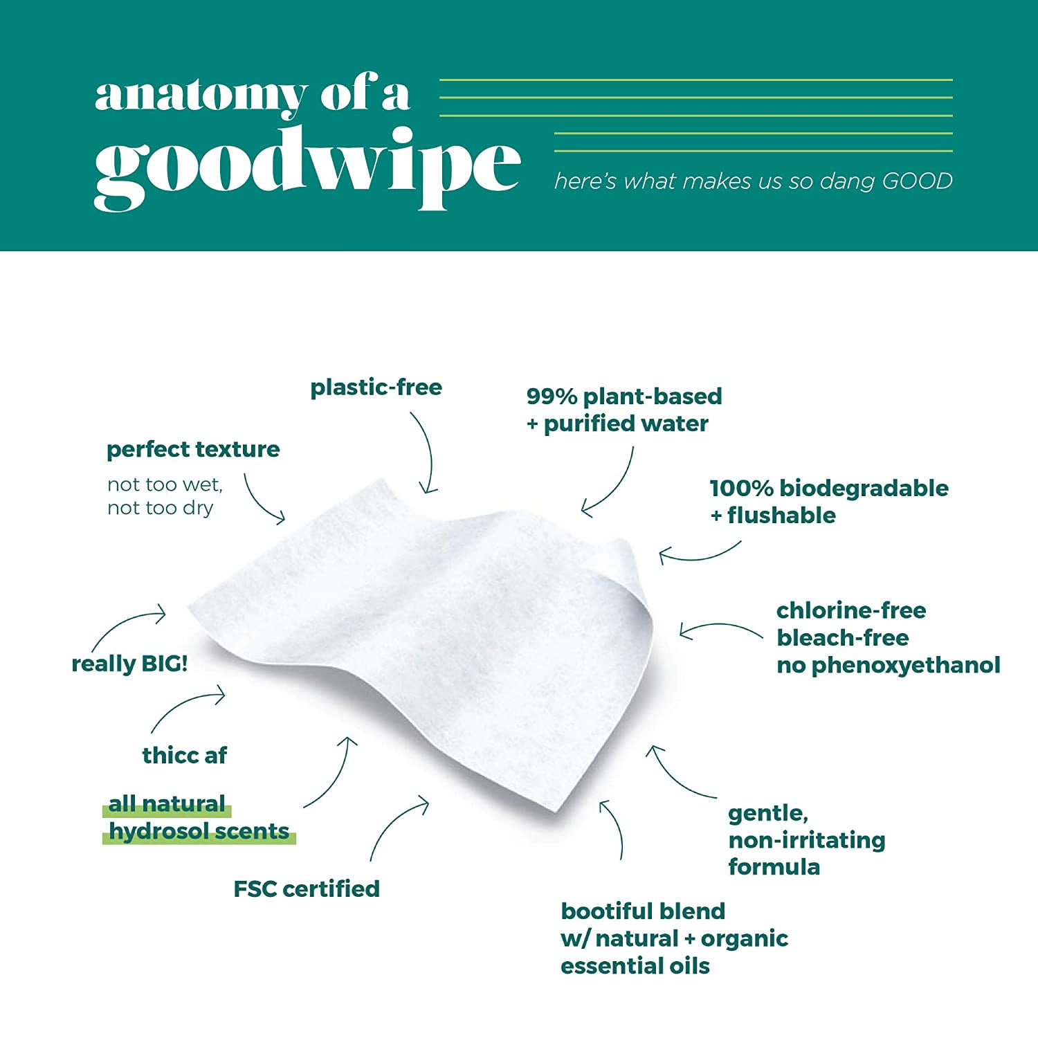 Goodwipes Flushable Wipes 60CT Variety Pack (4 Packs of 60) 1 ea