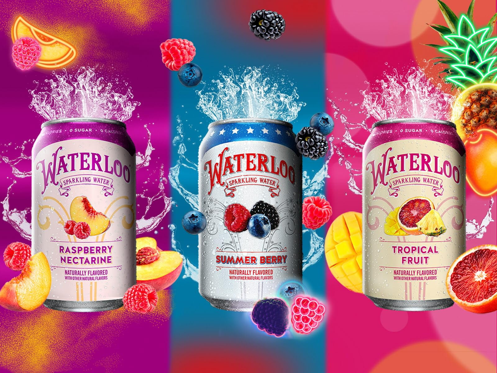 Waterloo Sparkling Fruit Flavored Water, Multi-Flavor Variety Pack | Zero Calorie | Zero Sugar | Zero Sodium | Zero Calories | Naturally flavored, 12 Fl Oz with Fitluv packaging (8 Flavor Variety,