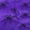 Purple, variant on Orange Stretchy Cotton Halloween Spider Web With 6 Spiders, Scary Outdoor Yard Tree Or Haunted House Creepy Visual Effect Decor, Tear Proof Weather Resistant Polyester For Trick Or Treaters