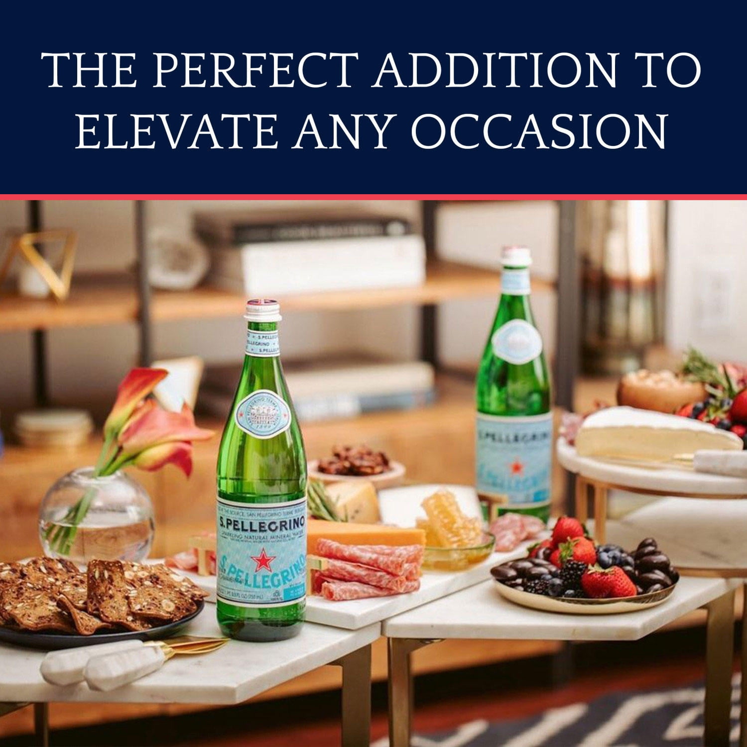 S.Pellegrino Sparkling Natural Mineral Water (16.9 fl. oz., 24 pk.)