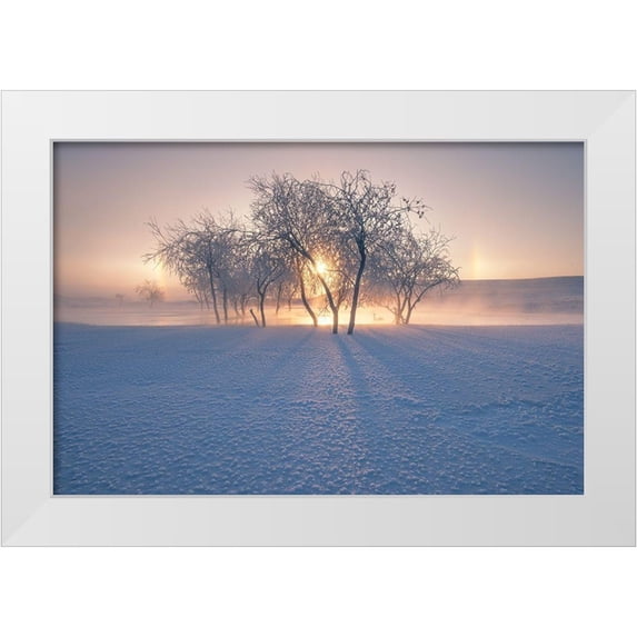 Z, Bingo 18x13 White Modern Wood Framed Museum Art Print Titled - Swan Lake