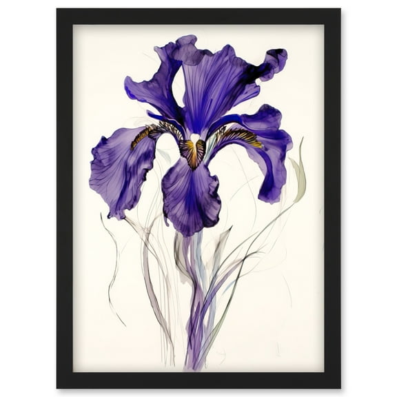 Iris Reticulata Watercolour Flower Bloom Drawing Artwork Framed Wall Art Print A4