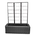thumbnail image 1 of Grapevine Resin Wicker Planter with Trellis, Black, 1 of 8