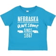 thumbnail image 3 of Inktastic Nebraska Awesome Since 1867 Boys or Girls Baby T-Shirt, 3 of 5