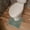 Army Green, variant on Toilet Rug,U Shaped Toilet Rug,Bathroom Floor Mat,20*20IN Toilet Rugs U Shaped,Non Slip & Super Absorbent Extra Thick Soft, Washable Bath Mats for Bathroom Floor(Beige)