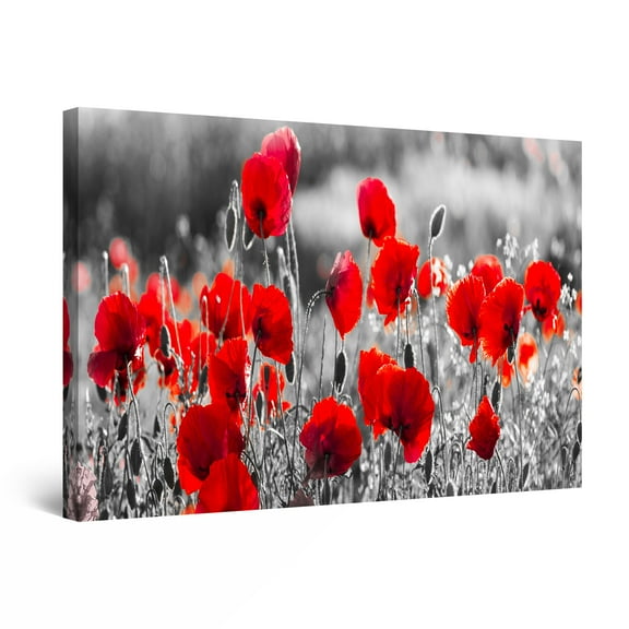 Startonight Canvas Wall Art Abstract Macro Photo Red Poppies Flowers Framed 32" x 48"