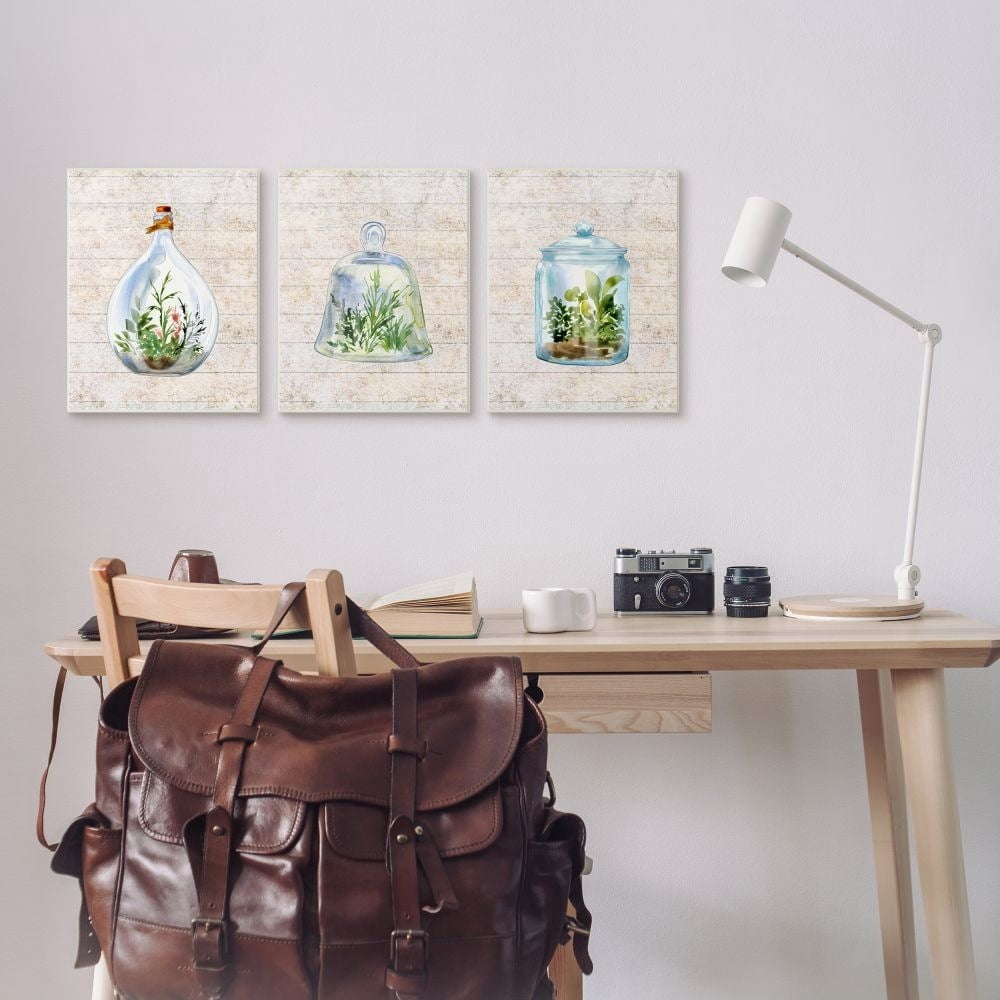Stupell Industries Enclosed Succulent Jars Rustic Charm Greenery Illustration Framed Wall Art Design by Sherri Buck Baldwin, 3 Piece, 11" x 14", Black Framed