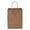 Kraft, variant on kraft paper bags, 8" x 5" x 11", kraft, 250/carton