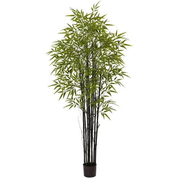 Nearly Natural 72" Black Bamboo Artificial Tree UV Resistant (Indoor/Outdoor), Green