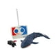 thumbnail image 1 of Juguete de tiburón ballena con control remoto, juguete de buceo portátil, juguete de ballena mecánico duradero Azul, 1 of 9