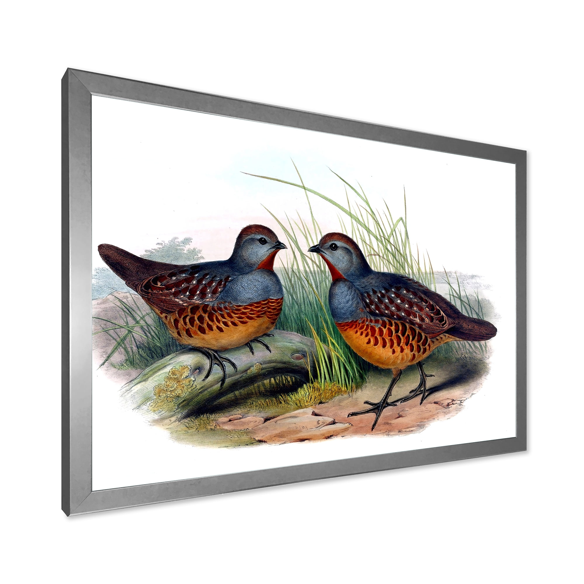 Designart 'Ancient Birds In The Wild VII' Traditional Framed Art Print