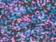 حلويات سوداء