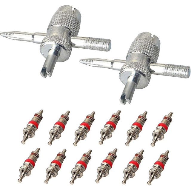 Car valve 2 pieces valve tool valve core tire valve core with 12 pieces valve