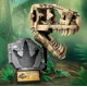 thumbnail image 4 of EN stock 2024 Nuevo 76964 Tyrant Skull Series Dinosaurio Fósil Bloques de construcción Juguetes Regalos de cumpleaños y Navidad para niños, 4 of 4