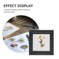 thumbnail image 4 of BESTYASH Pressing Flower Display Frame Wooden Specimen Holding for Giving 1Set, 4 of 5