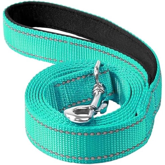 Eryueer Reflective Dog Leash 4ft Soft Padded Handle Nylon Lead for Small & Medium Dogs, Durable Walking Training Leash for Night Safety (Turquoise,1Inch Wide)