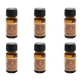 thumbnail image 4 of Ethereal Huile Parfumée 15 ml Bois de Santal - Ensemble de 6, 4 of 4
