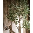 thumbnail image 2 of Large Artificial Olive Tree 94" Tall, 2 of 3