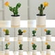 thumbnail image 3 of Gwong Decoración hogareña Mini Bonsai Non-Fading Landscaping Simulación de plástico Plantas suculentas Decoración de mesa Gwong 21082694, 3 of 6