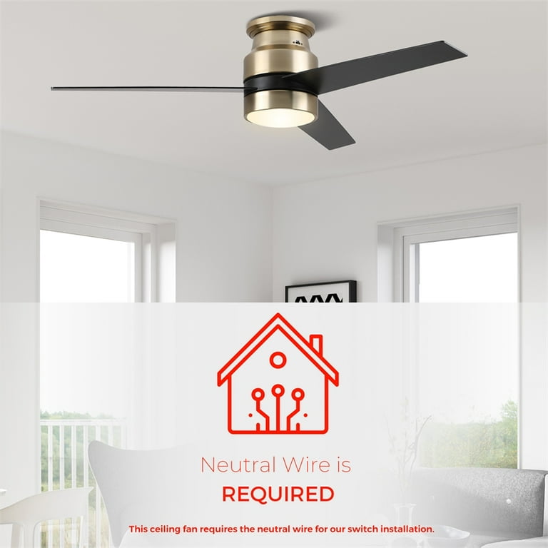 How To Connect A Ceiling Fan Alexa Shelly Lighting