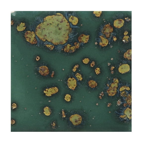 Sax Colorburst Glaze, Mystic Jade, 1 Pint
