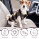 thumbnail image 5 of unbranded Para Mascotas Estilo Simple Y En Fleece Multicolor Para, 5 of 6