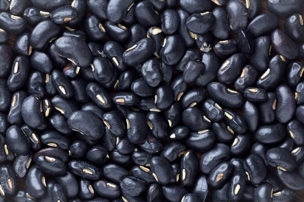 Black Bean Seeds for Planting 30 Seeds Easy to Grow, Very Healthy