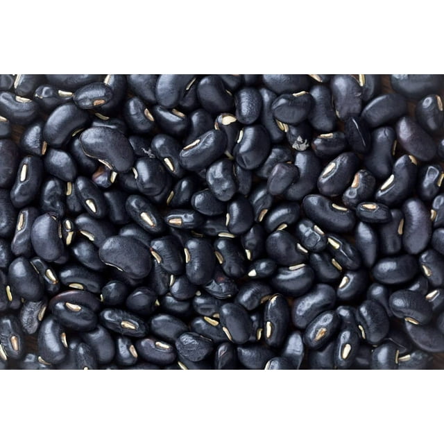 Black Bean Seeds for Planting 30 Seeds Easy to Grow, Very Healthy