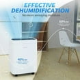 AIRPLUS 70 Pint Dehumidifier with Drain Hose, 4500 Sq. ft Dehumidifiers for Basements with Fast ...