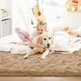 thumbnail image 5 of Softlife Super Soft Rug For Living Room Fluffy Rugs For Dorm Room Cute Plush carpet For Bedroom,8' x 10',Light Tan, 5 of 7