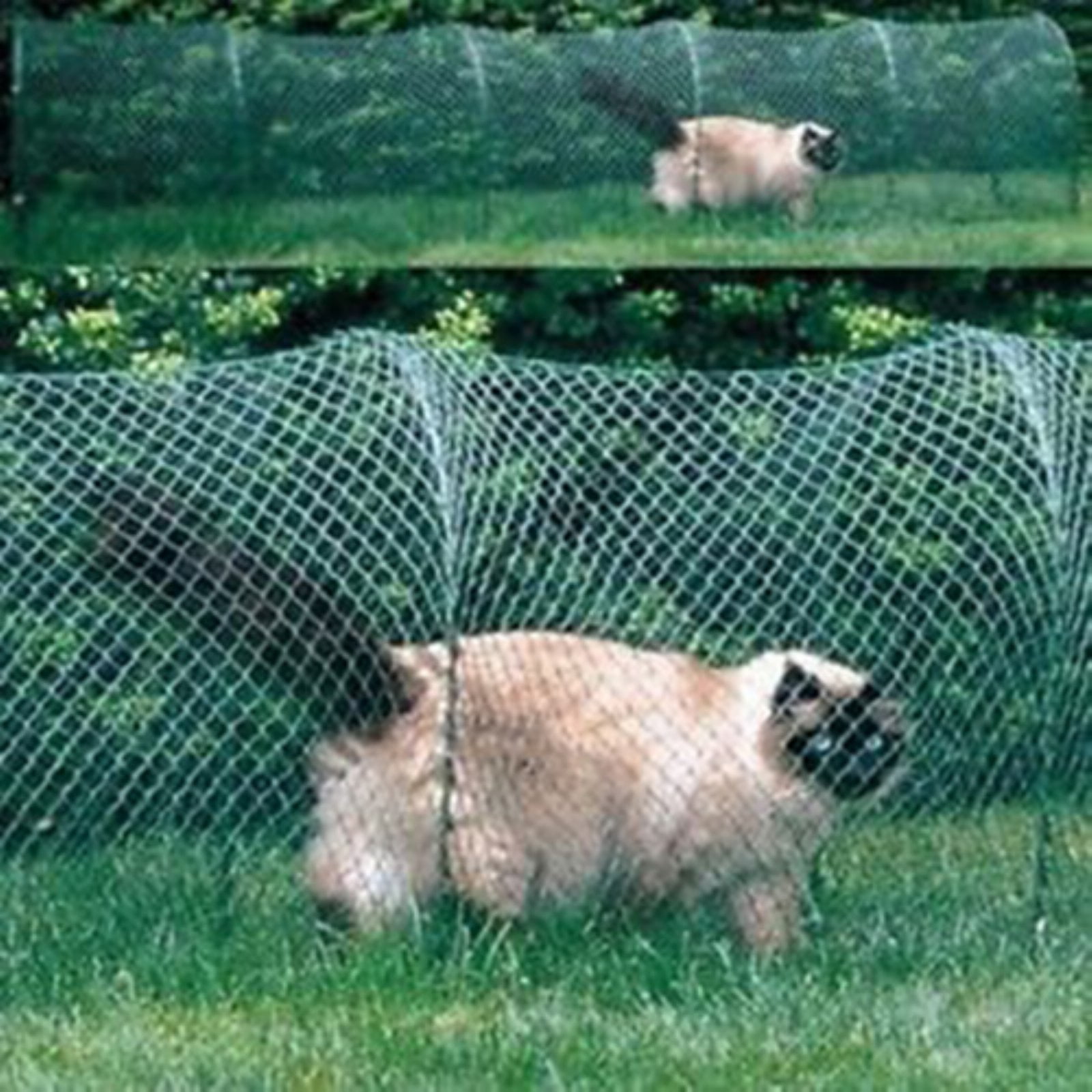 Kittywalk, Deck and Patio, Outdoor Cat Enclosure, Green, 72-in