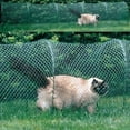 thumbnail image 4 of Kittywalk, Deck and Patio, Outdoor Cat Enclosure, Green, 72-in, 4 of 8