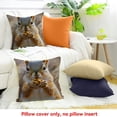 thumbnail image 4 of FCXZI Funny Squirrel Indoor Decoration Pillow Case for Sofa Couch 24x24in, 4 of 5