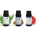 thumbnail image 3 of Set de 6 Aceites Esenciales para difusor Punto aroma Clavo, Lavanda, Sandalo, Pomelo, Romero, Eucalipto, 3 of 5