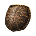 thumbnail image 2 of Cojín de concha de tortuga jinwen usable, 2 of 8