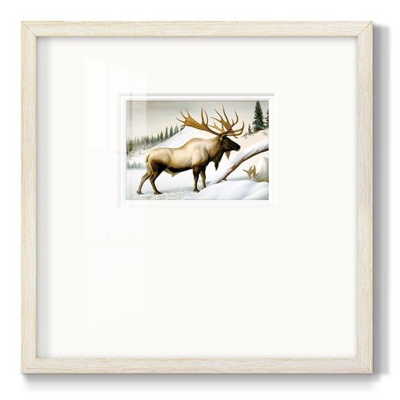 Snow ElkPremium Framed Print