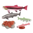thumbnail image 4 of Conjunto de modelos de de de animales Juguete de salmón Colección de juguetes educativos para niños - Salmón, 4 of 8