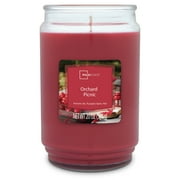 Mainstays Orchard Picnic Scented Single Wick Candle, 20 oz.