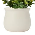 thumbnail image 5 of Anko Artificial Eucalyptus in Pot, 5 of 5