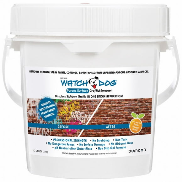 Lead Out Paint Remover