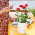 thumbnail image 4 of 4 in 1 Soil Tester Smart Plant Monitor Wireless Detector Automatically Monitors Moisture Light Nutrient Temperature Levels Applicable for iOS and Android, 4 of 7