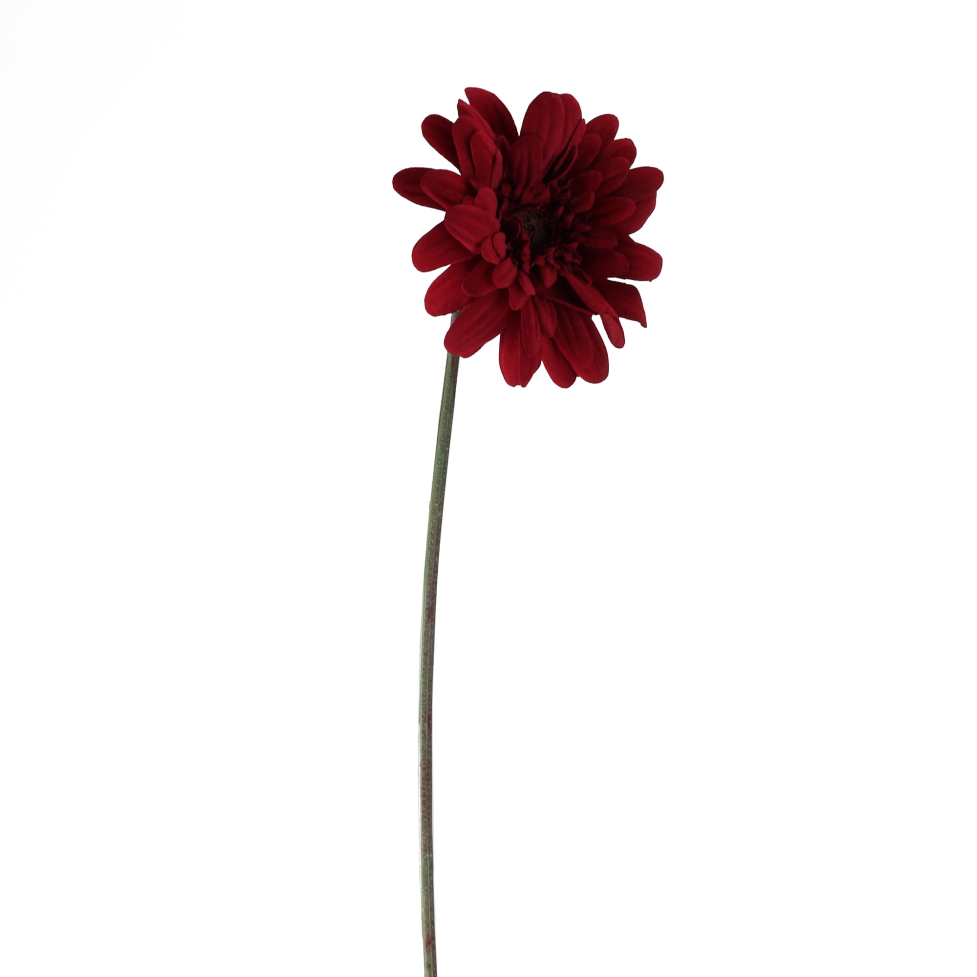 Allstate Floral 21.5' Red/Brown Leafless Gerbera Daisy Artificial Floral Spring Craft Pick