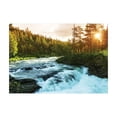 thumbnail image 1 of Ambesonne European Jigsaw Puzzle, Sunrise Springtime Pines, Heirloom-Quality Fun Activity for Family Durable Cardboard, 1000 pcs, Apple Green Pale Blue, 1 of 2