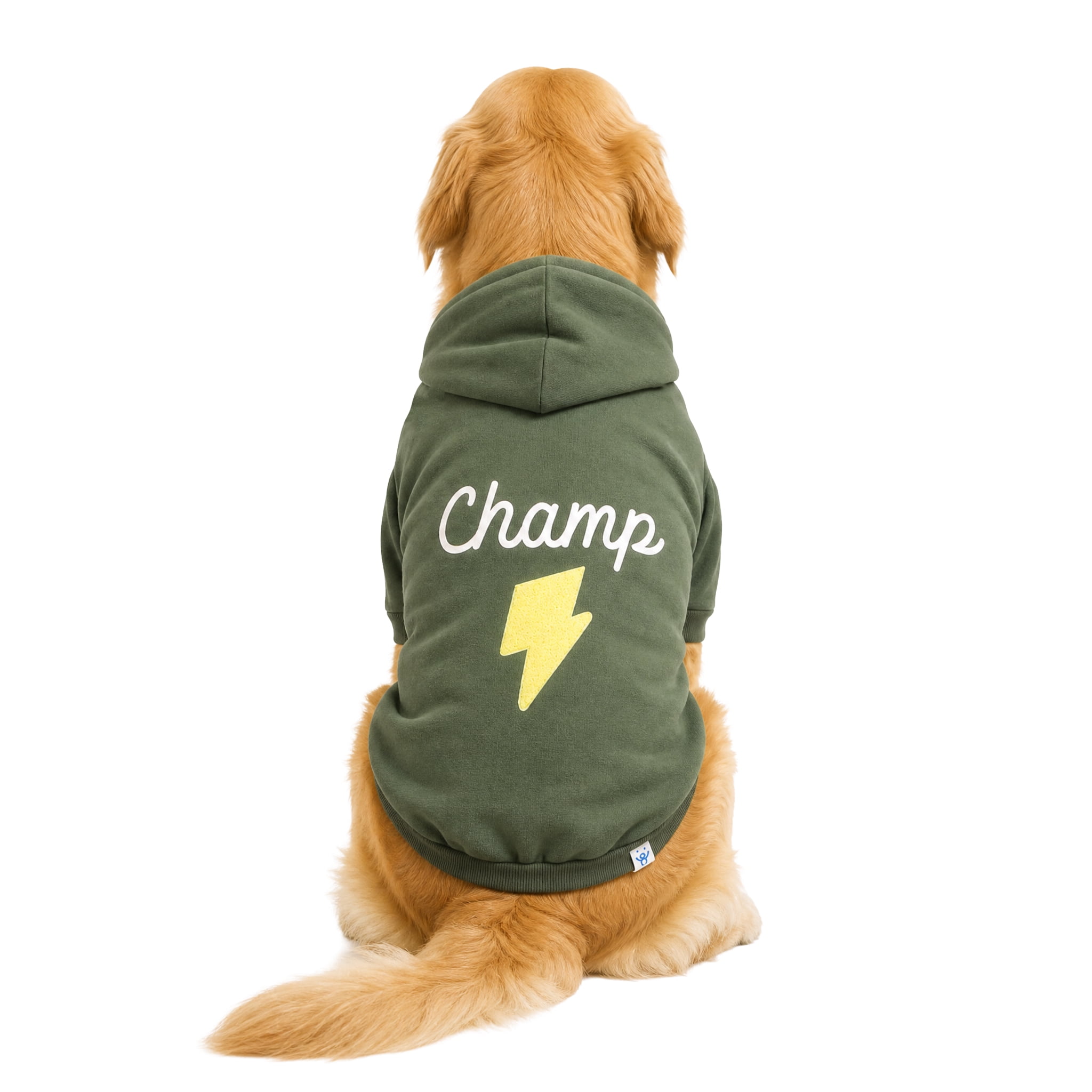 Oodles Champ Fall Lightning Bolt Dog Hoodie, Green, XL
