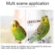 thumbnail image 3 of Nestingho 2Ud Bebedero Para Pájaros Con Estable Y Accesorio Para Casa, 3 of 8