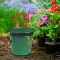 thumbnail image 2 of 2/4/12pcs Garden Slug Cage Snail Trap Catcher Cage Reusable Pests Bait Station Tools Garden Farm Protector, 2 of 5